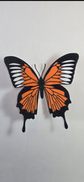Butter Fly (long wing)