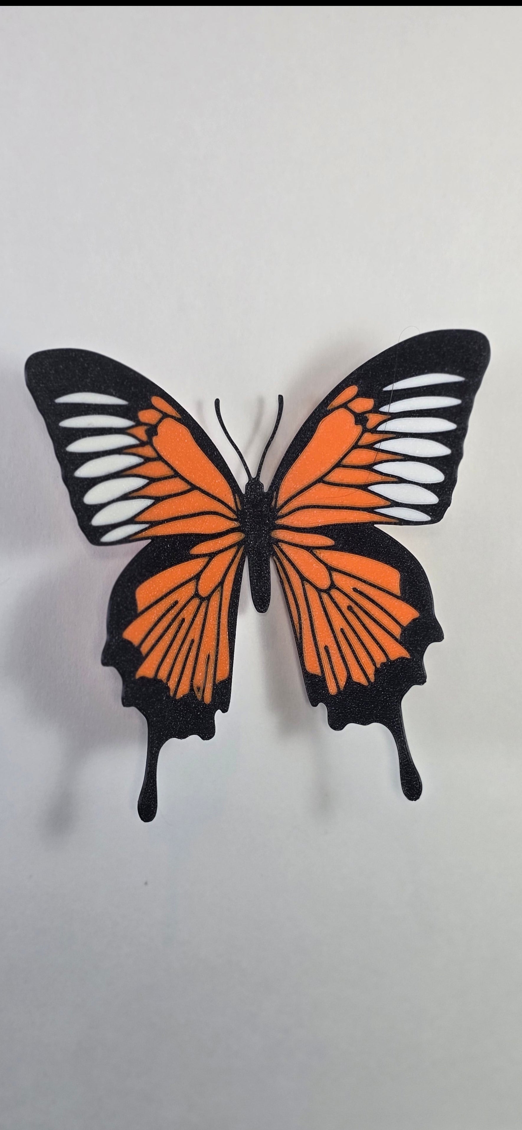 Butter Fly (long wing)