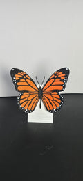 Butter Fly (short wing)
