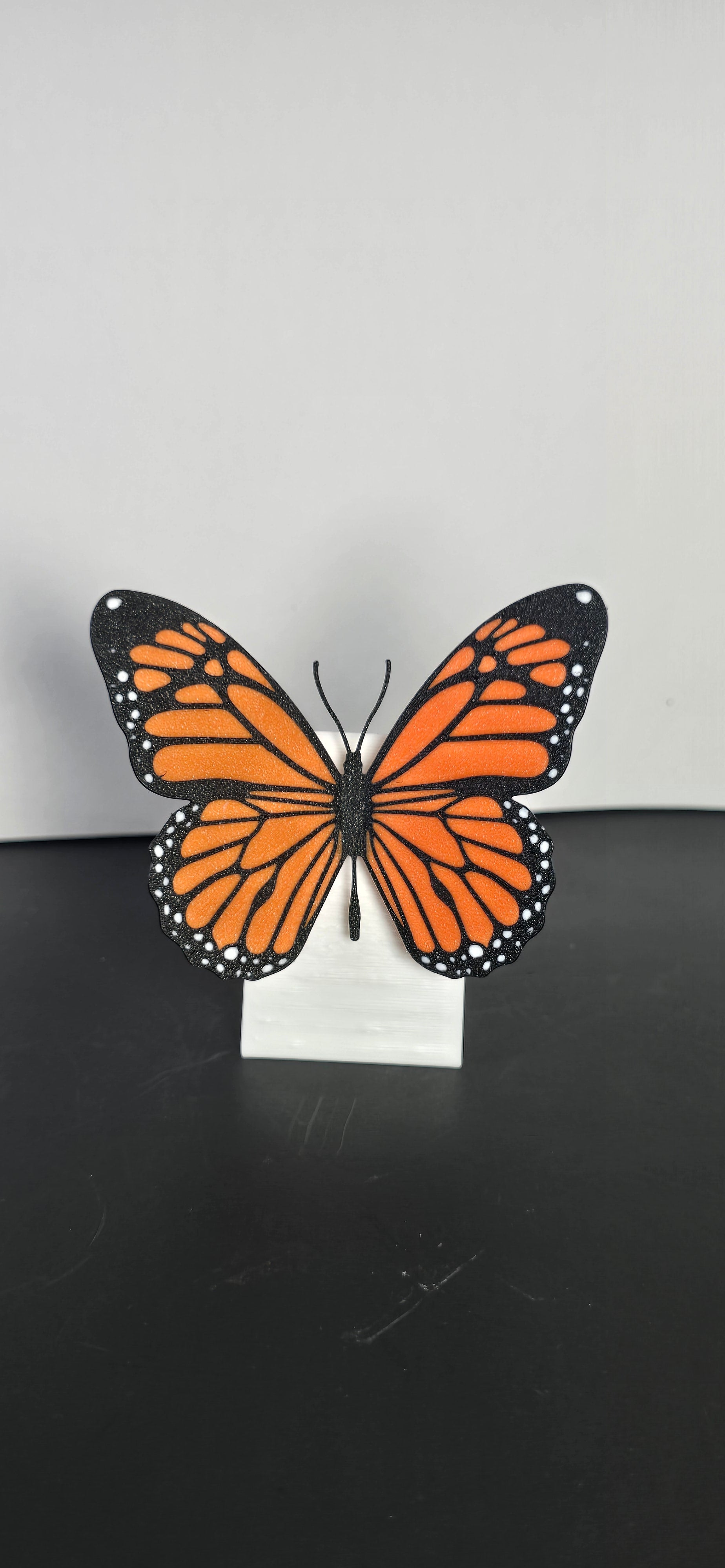 Butter Fly (short wing)