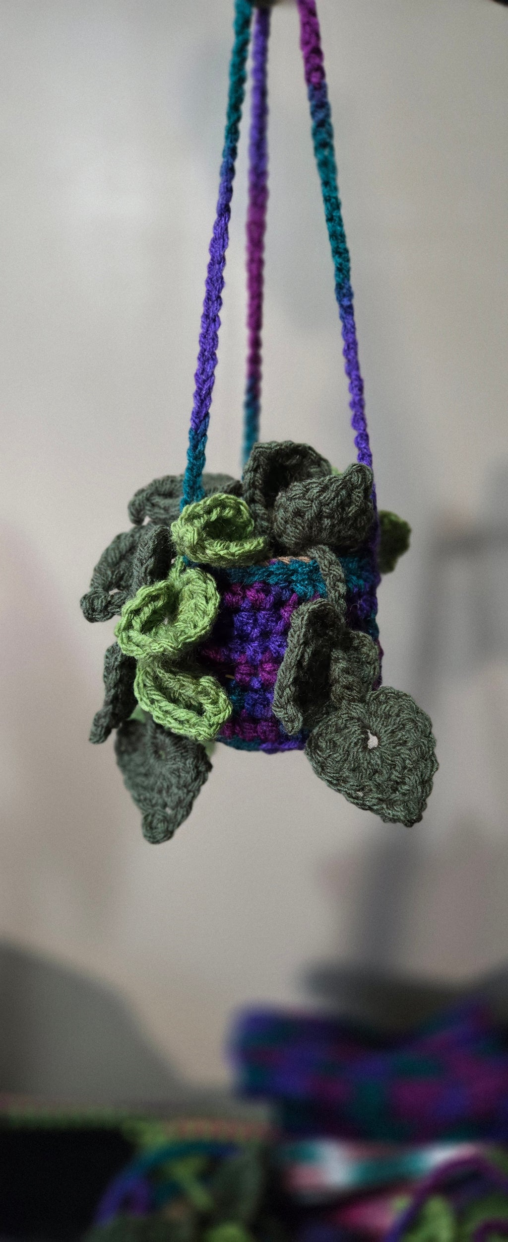 Hanging Plant