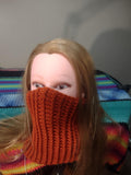 Cowl / face cover