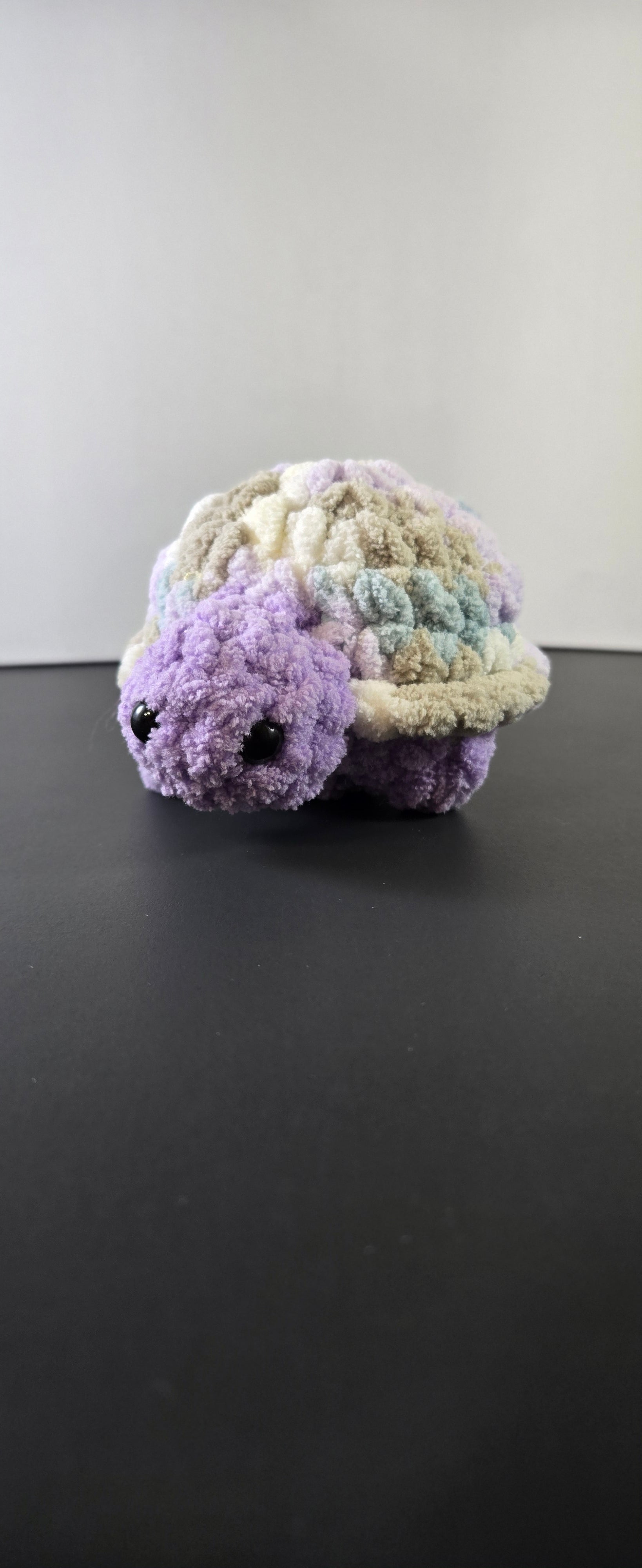 Mini Turtle