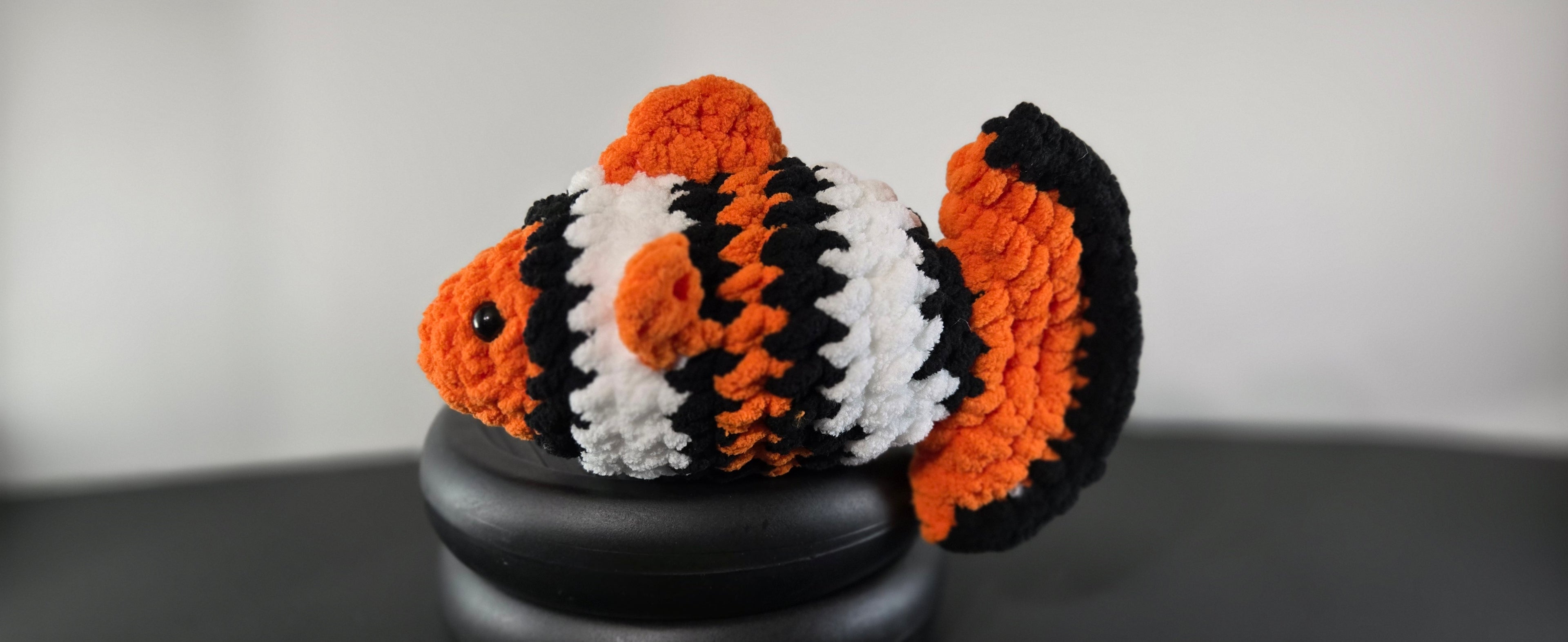 Clown Fish