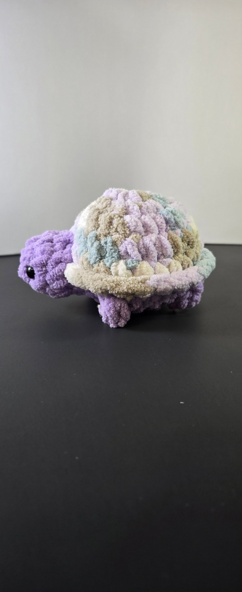 Mini Turtle