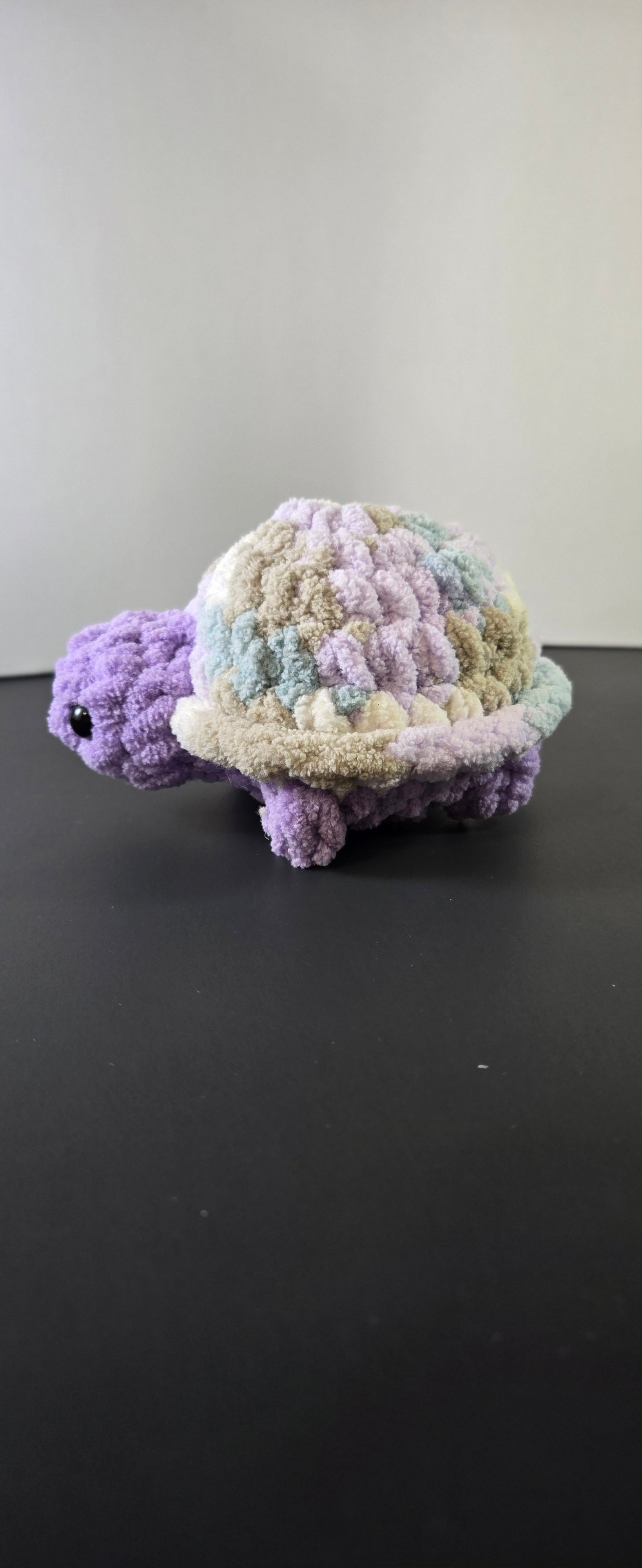 Mini Turtle